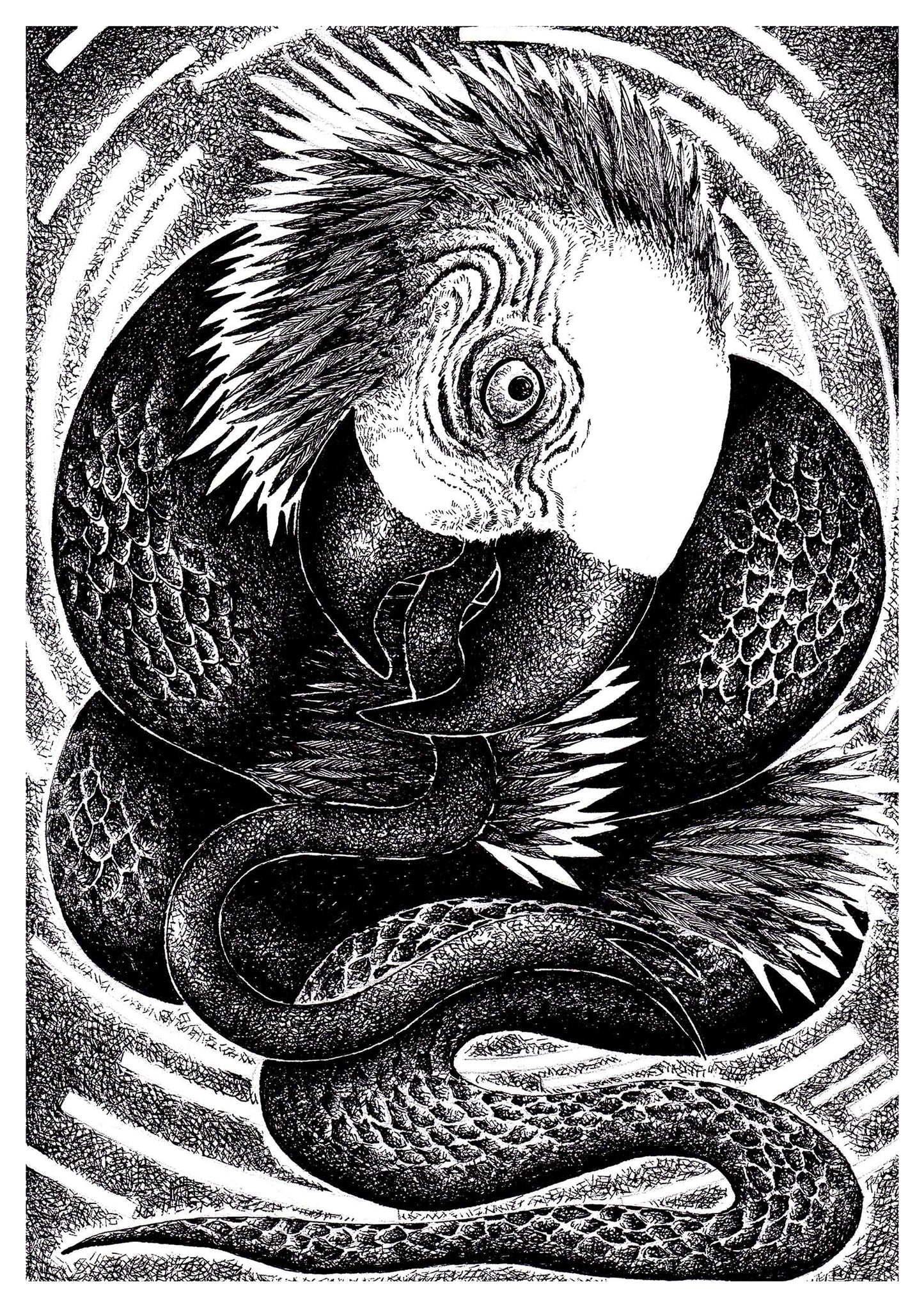 Mbói Tu'i