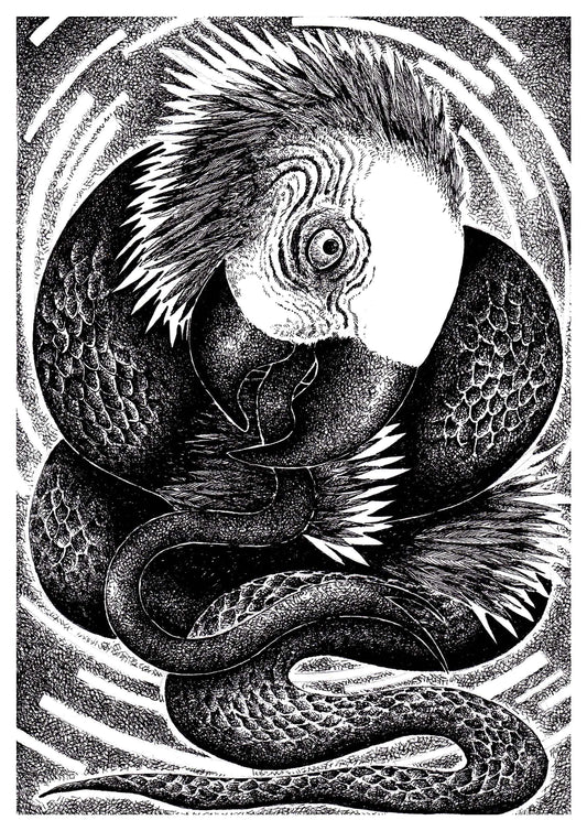 Mbói Tu'i